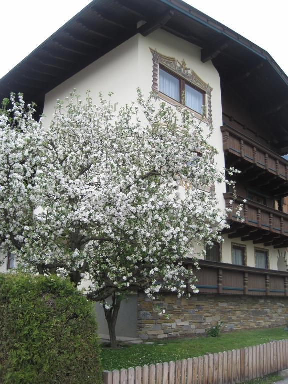 Gaestehaus Braunegger Stumm Εξωτερικό φωτογραφία